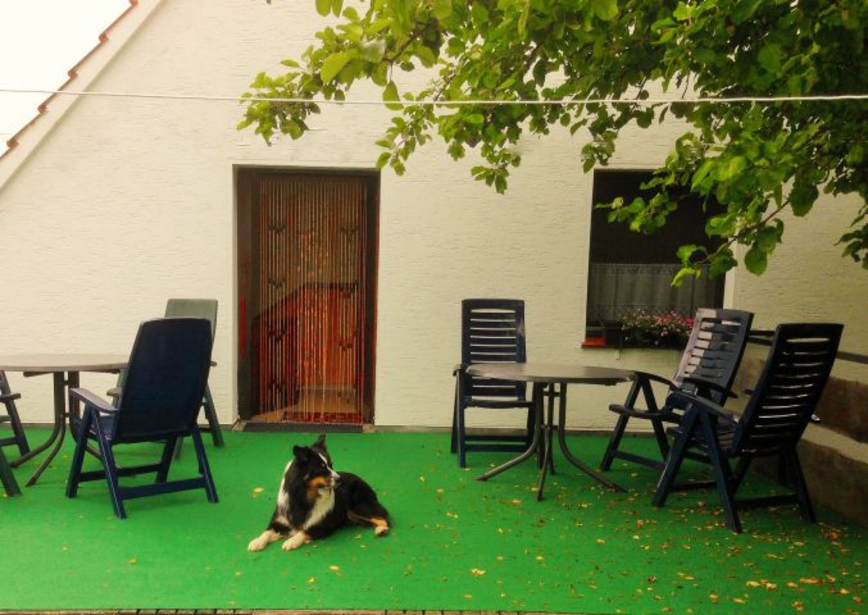 Balkon 50m²