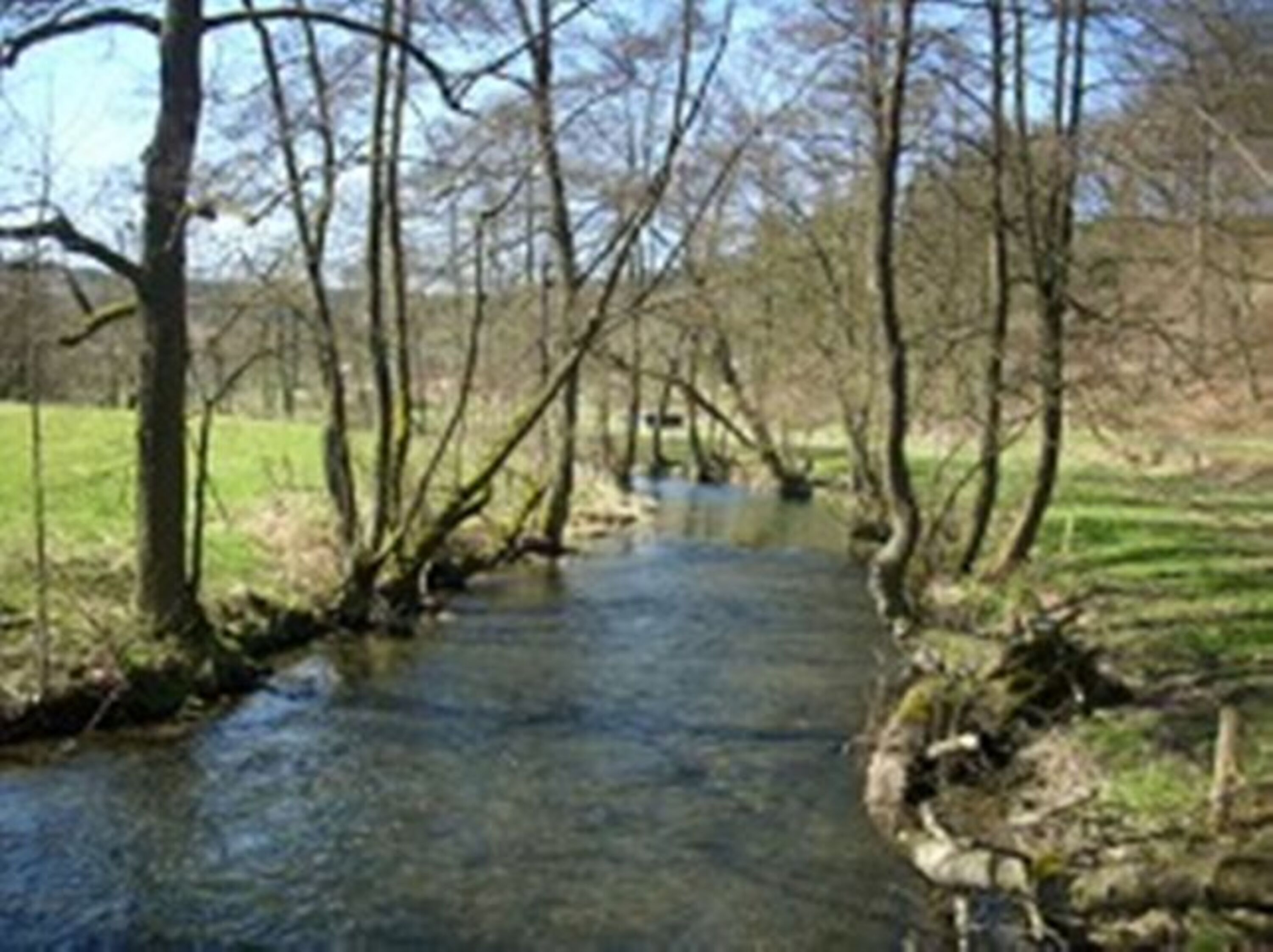 Wanderweg an der Diemel