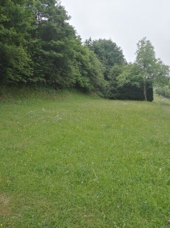 Blick vom Schlafzimmer 1