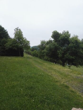 Spaziergänge direkt vom aus Ferienhaus möglich