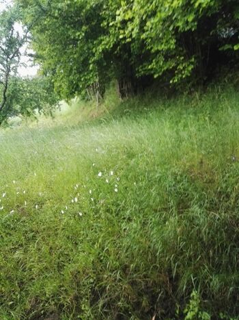 Blick vom Schlafzimmer 2