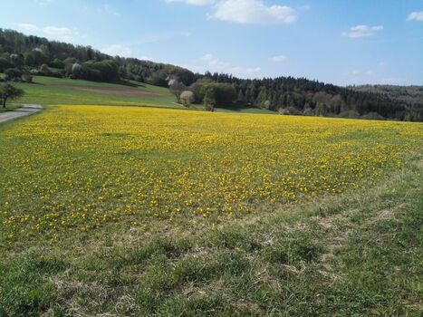angrenzende Wiesen und Felder