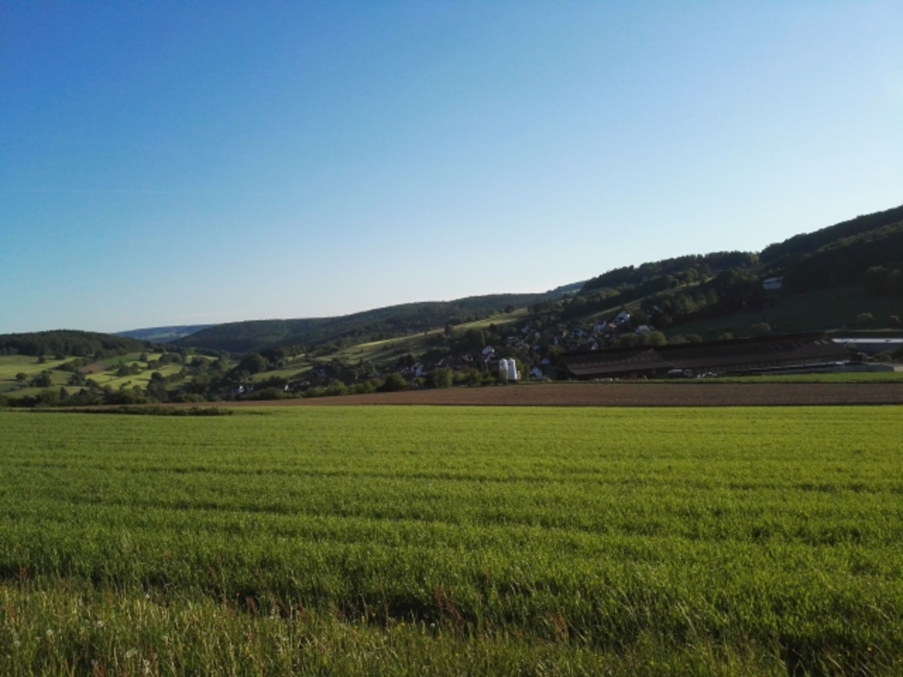 Blick in den Spessart