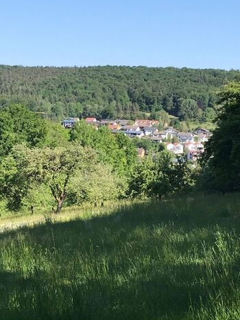 Blick von der Eichelshöhe auf Nieder-Kinzig