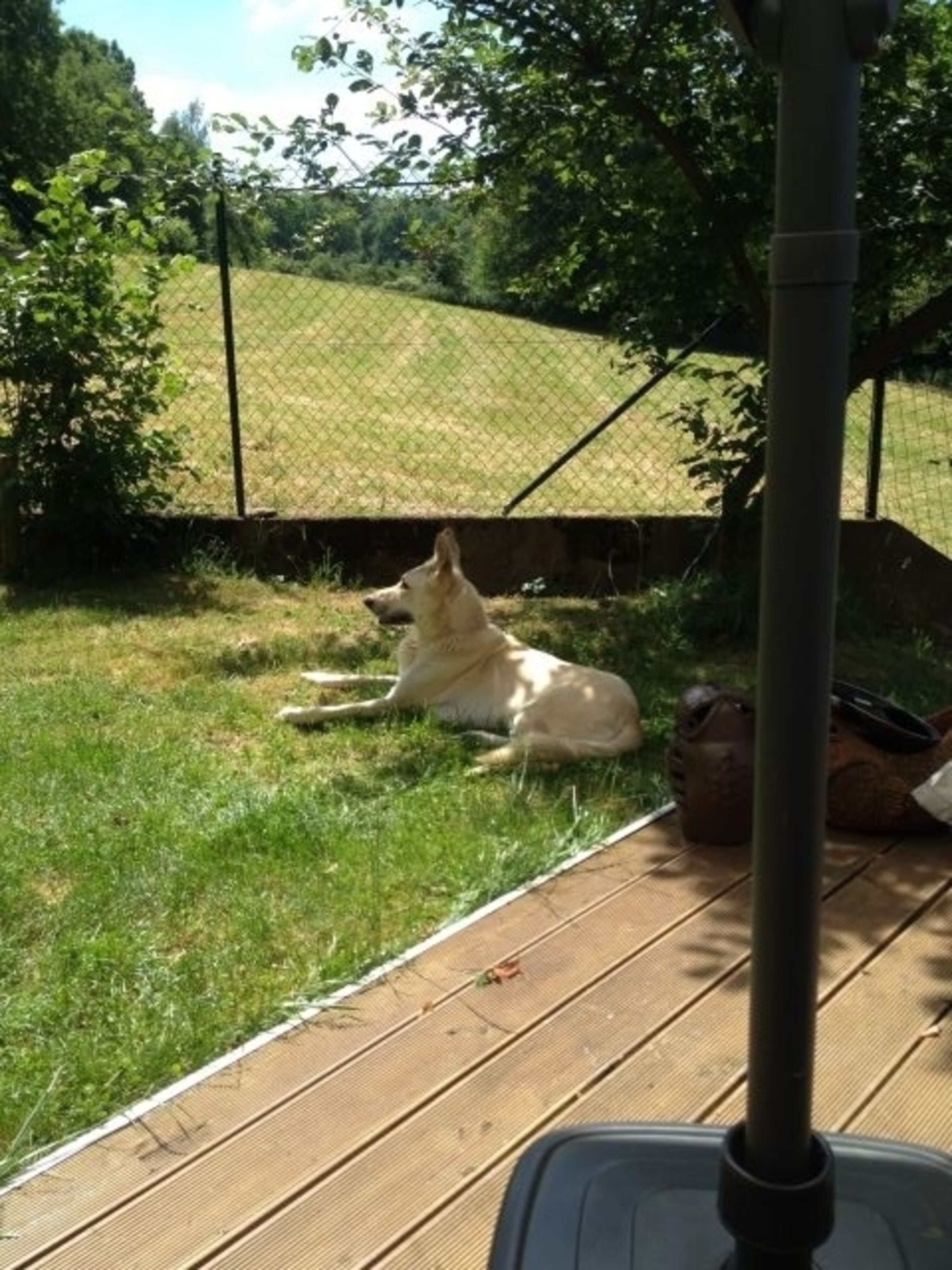 Schatten und Sonne frei nach Belieben