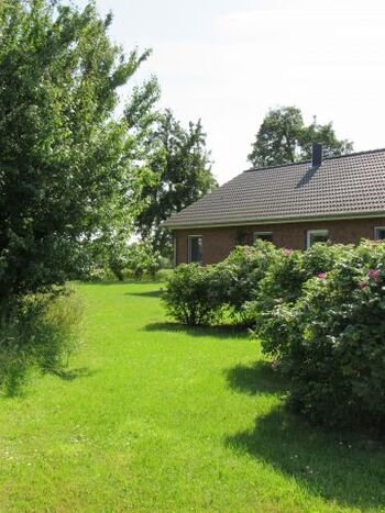 der Garten an der Ostseite