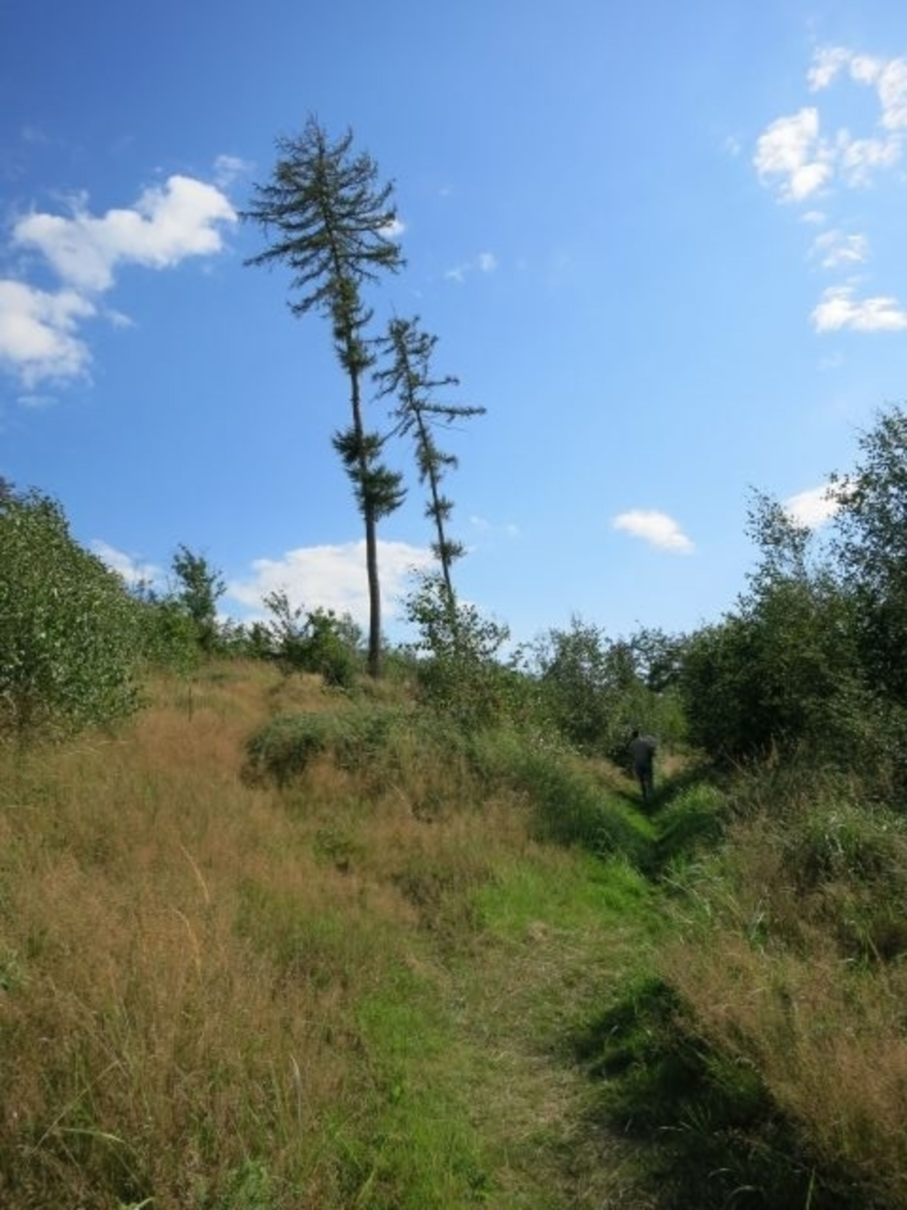 Bild 15