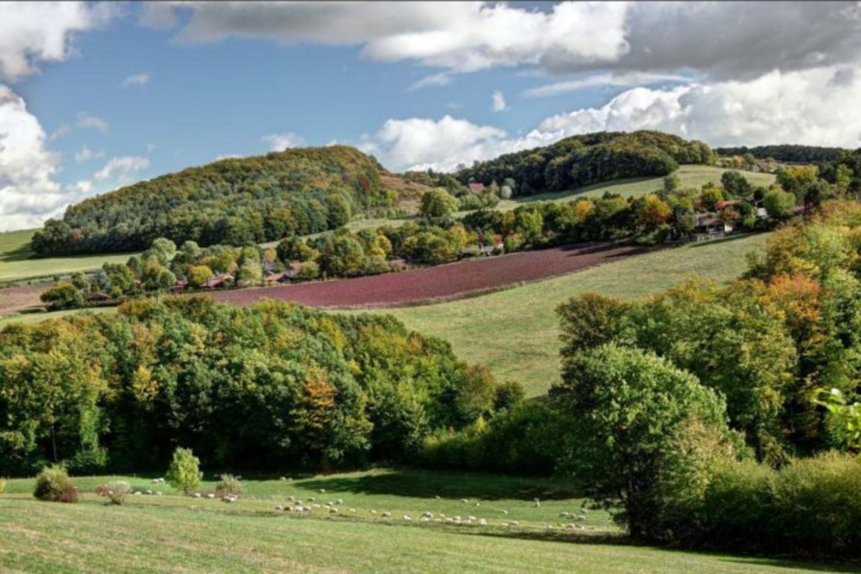Blick vom Wandweg A3 zum Feriendorf