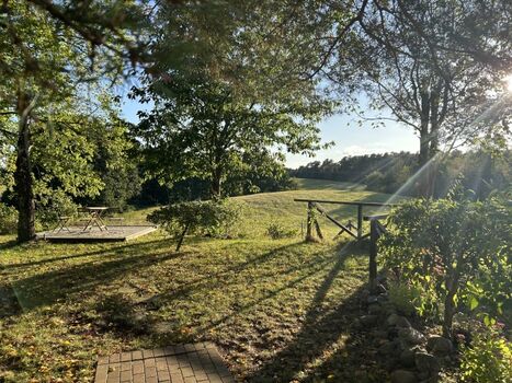 Blick auf das eigene Grundstück und die umliegende Wald- und Wiesenlandschaft