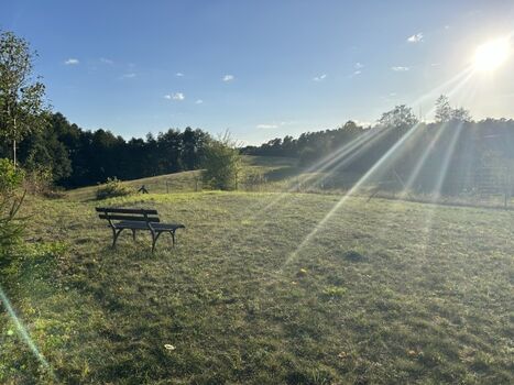 Septembersonne Blick auf einen Teil des umzäunten Grundstückes 
