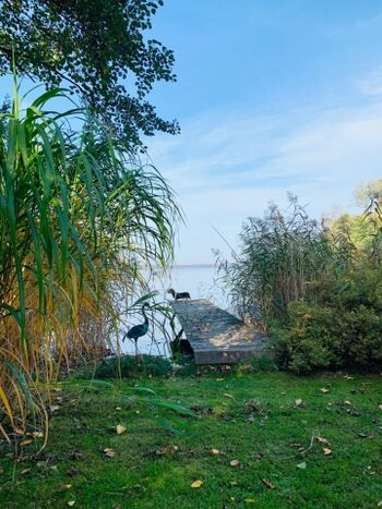Ihr Seegrundstück im Herbst …mit Ruderboot 