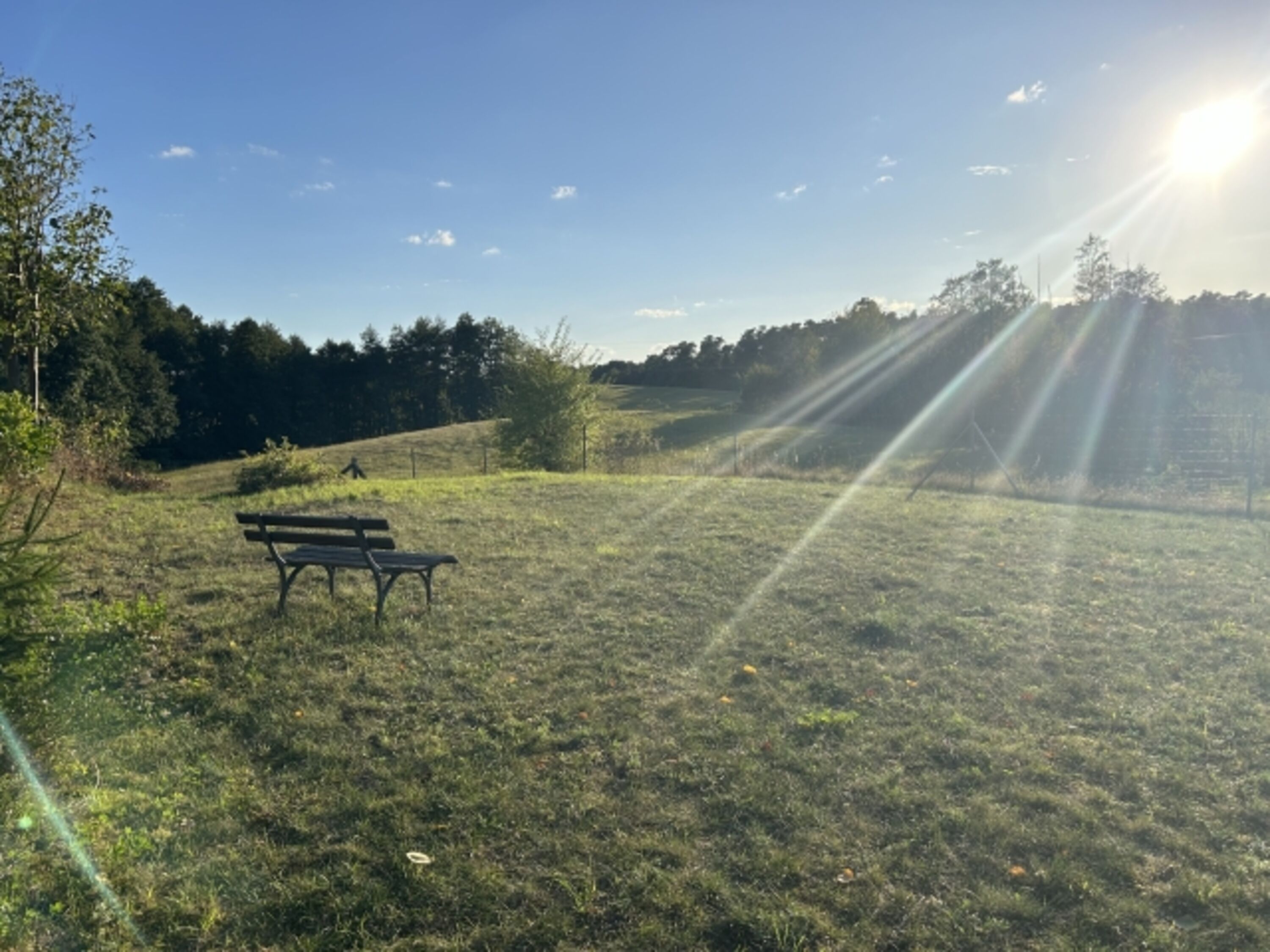 Septembersonne Blick auf einen Teil des umzäunten Grundstückes 