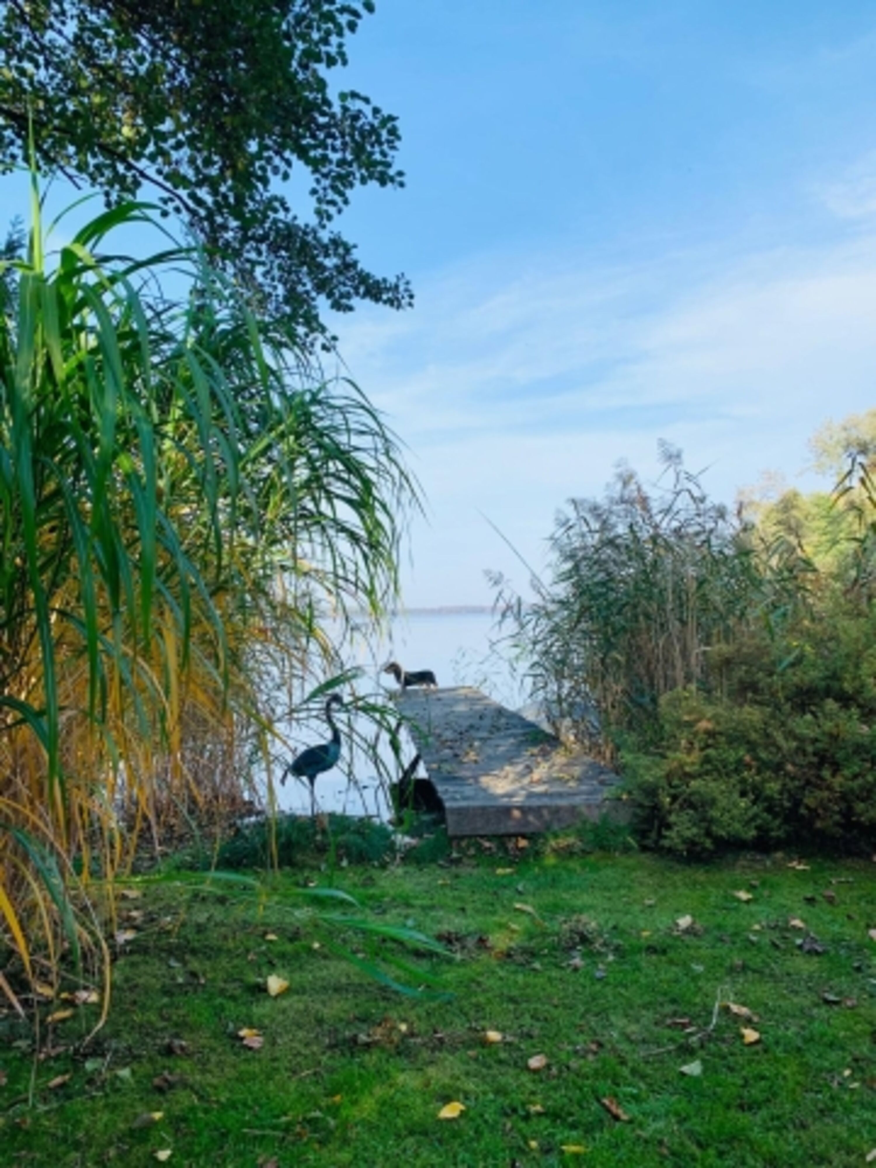 Ihr Seegrundstück im Herbst …mit Ruderboot 