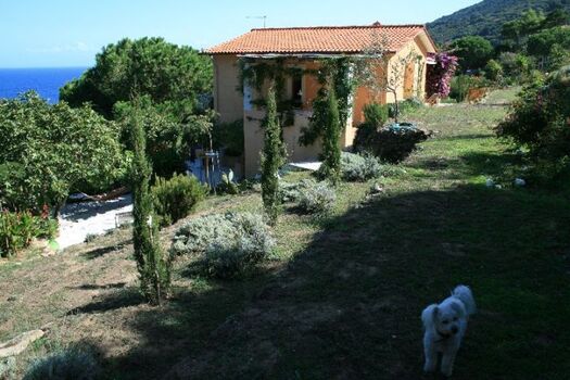 Blick aus dem Garten