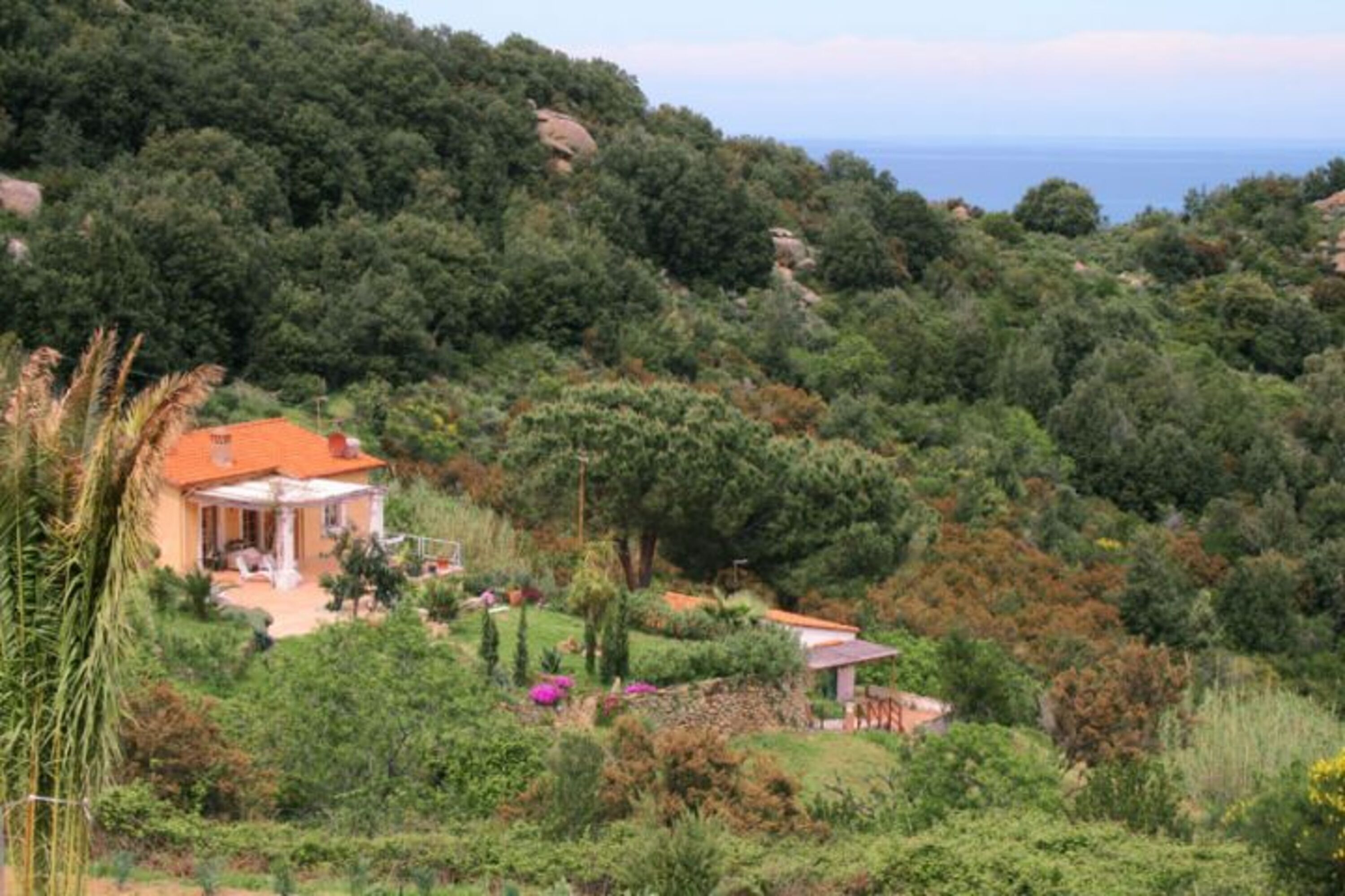 Blick zum Haus