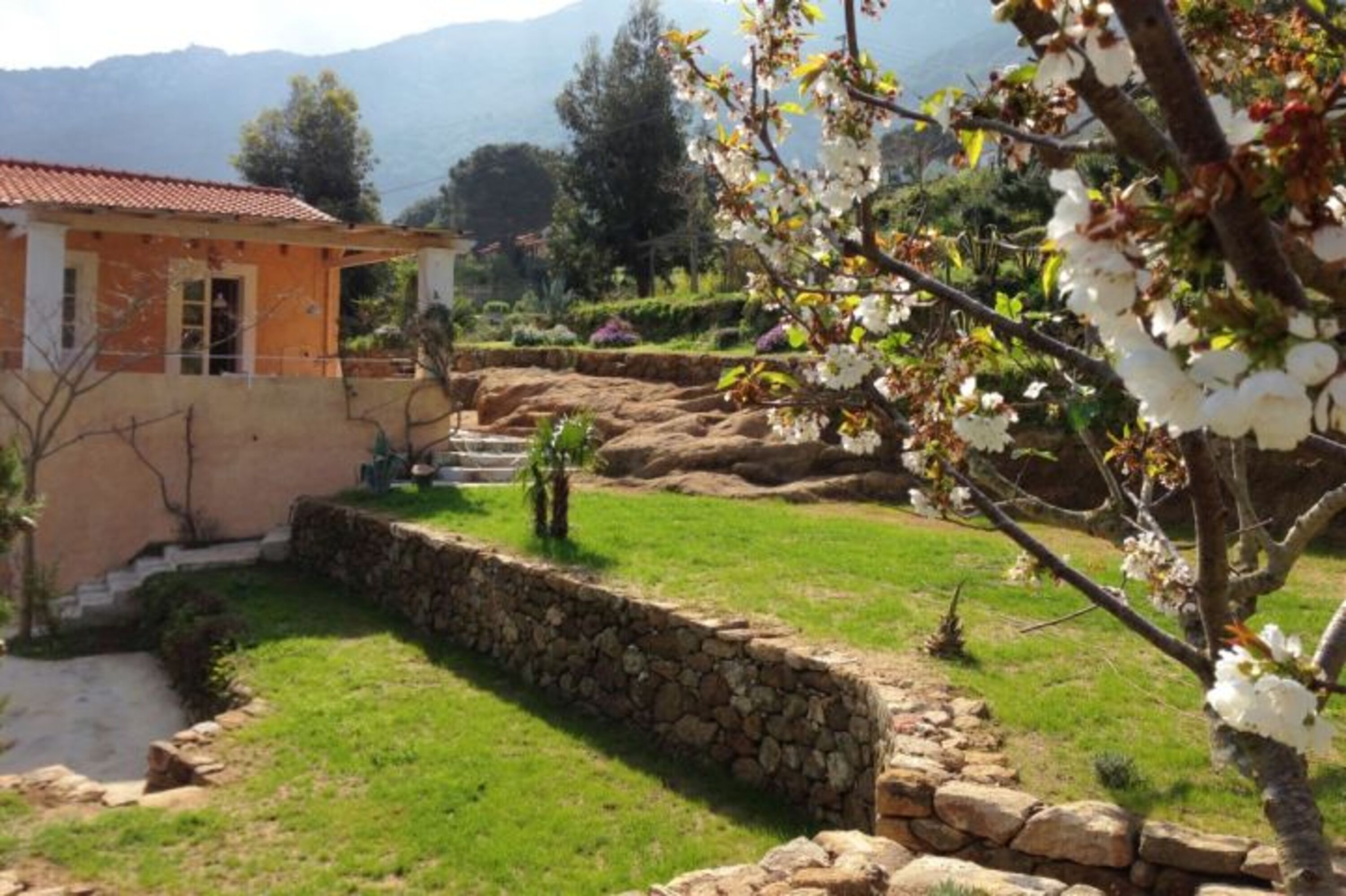Blick zum Haus