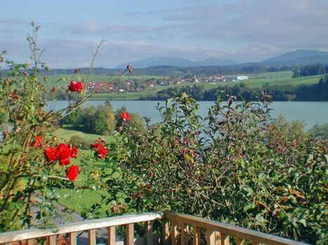 Ausblick über den See nach Ursprig