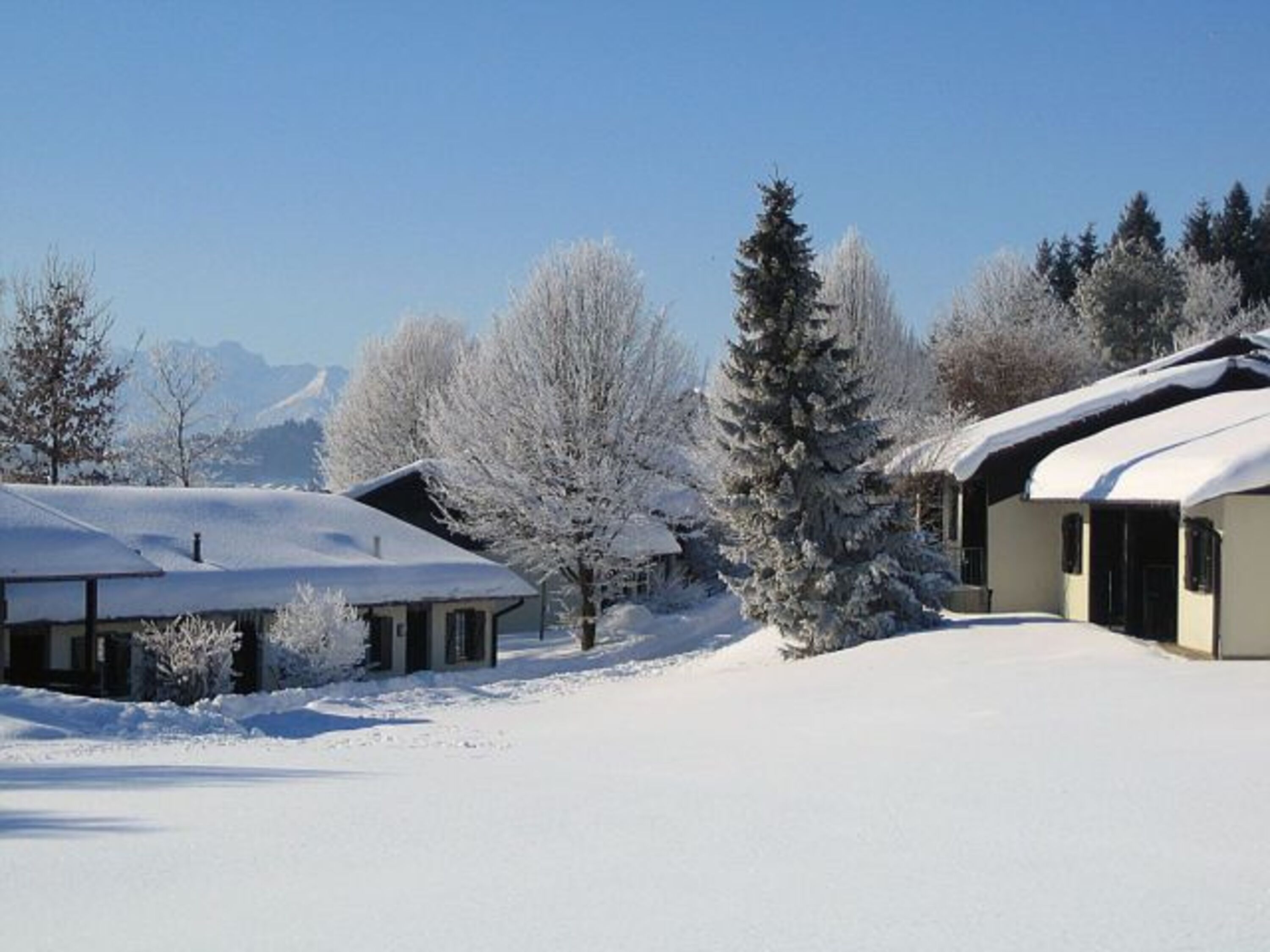 unser Feriedorf im Winterkleid