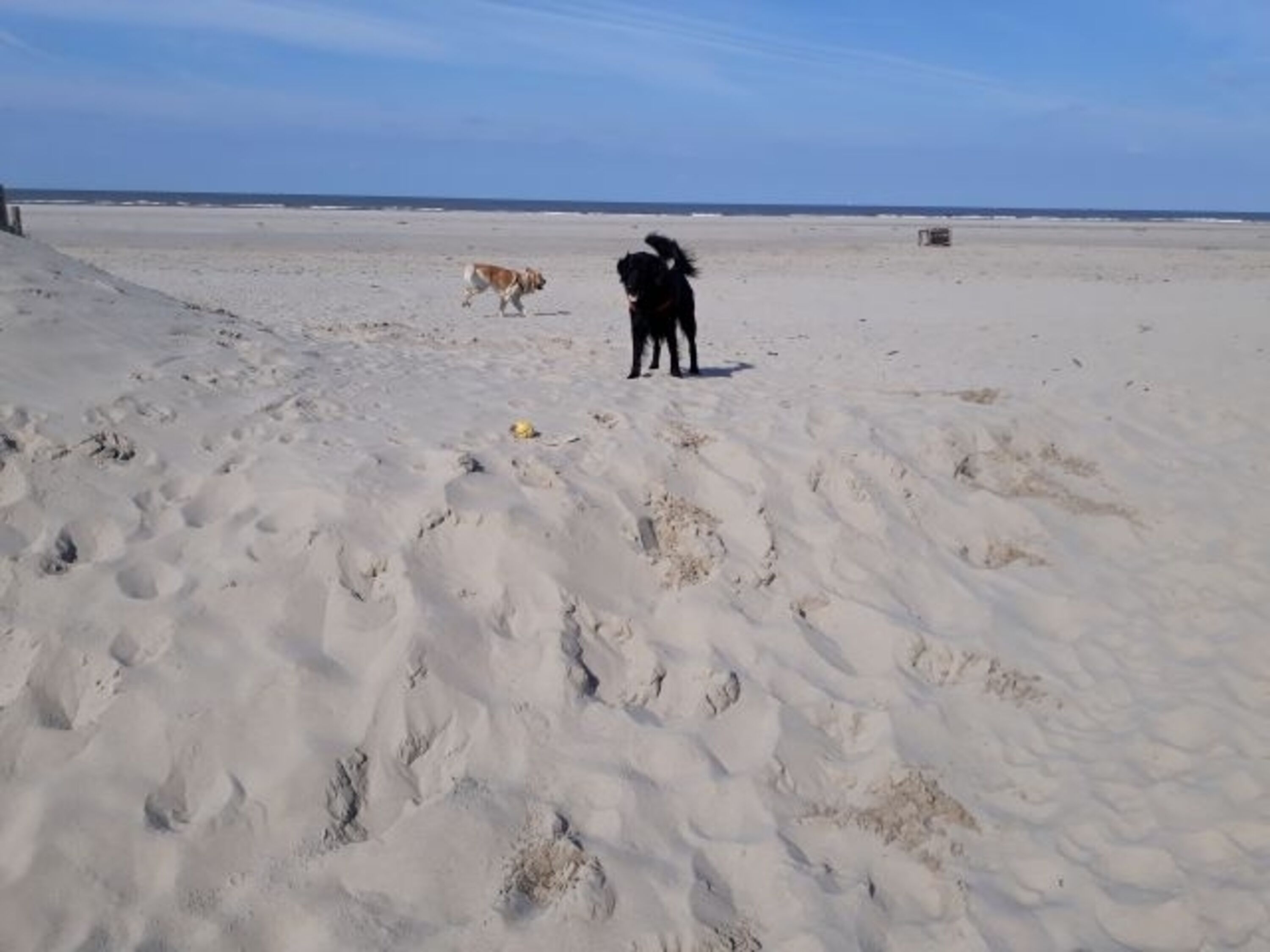 Bild 19