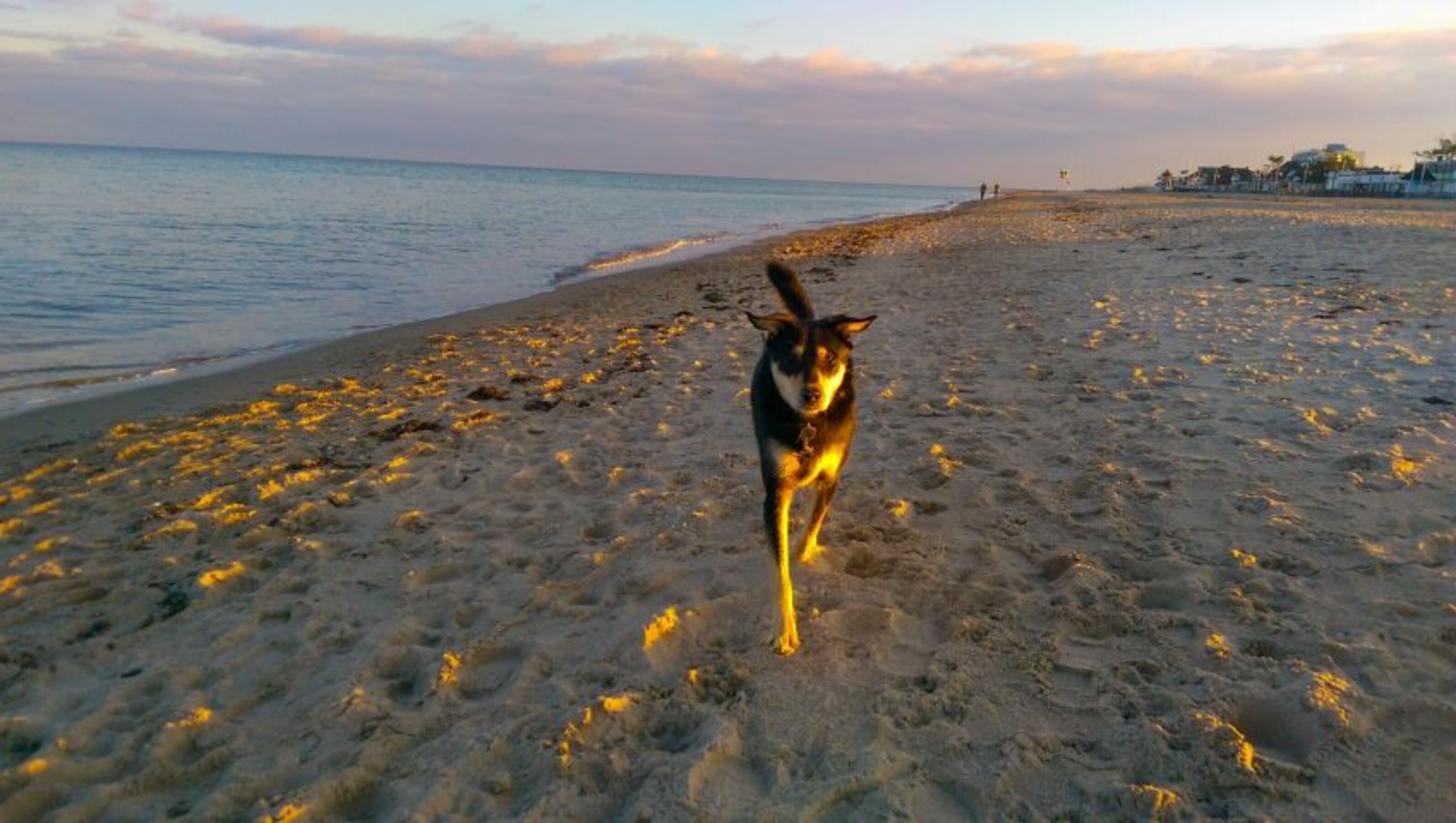 Bild 25