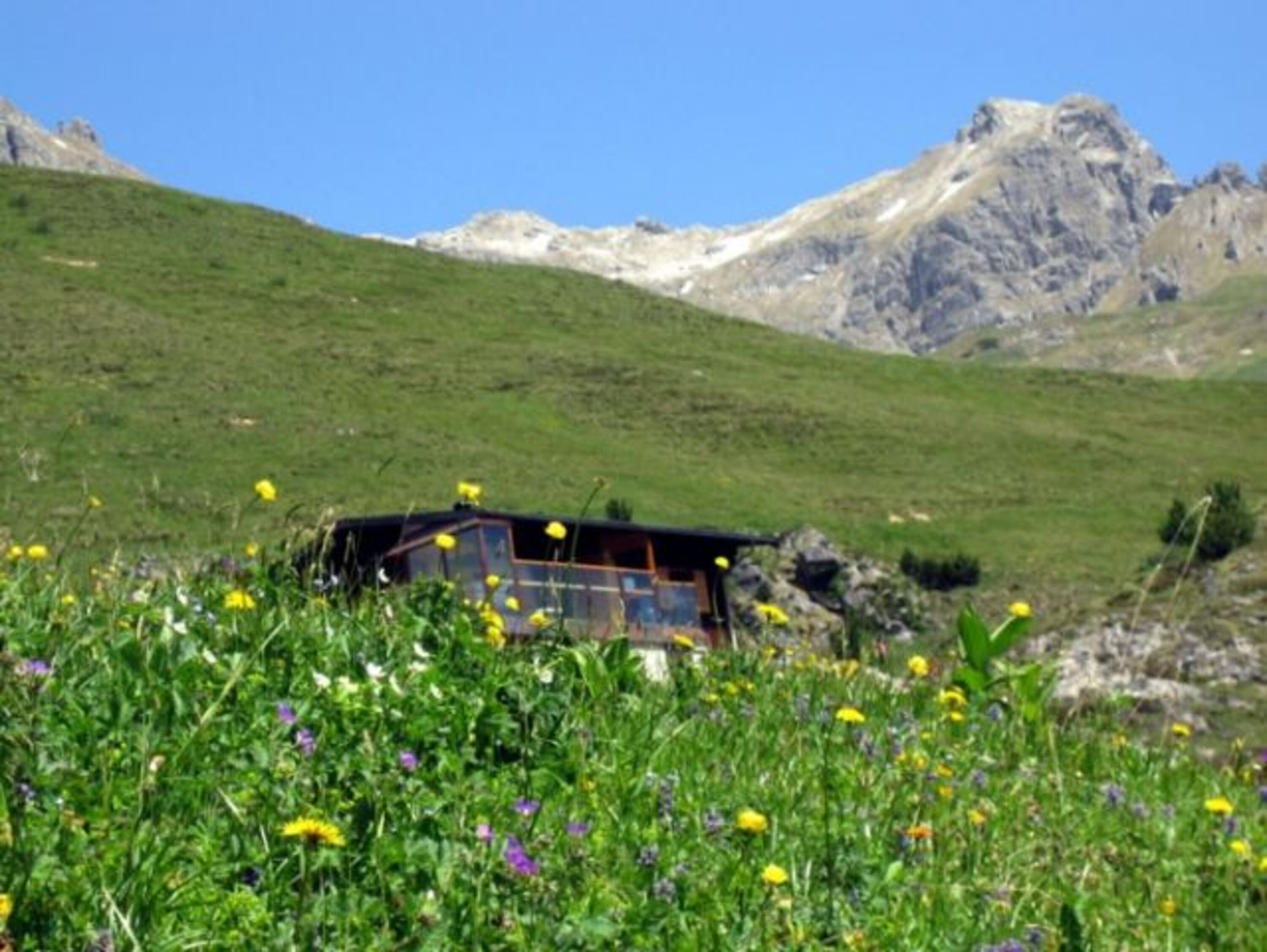 Bild 5
