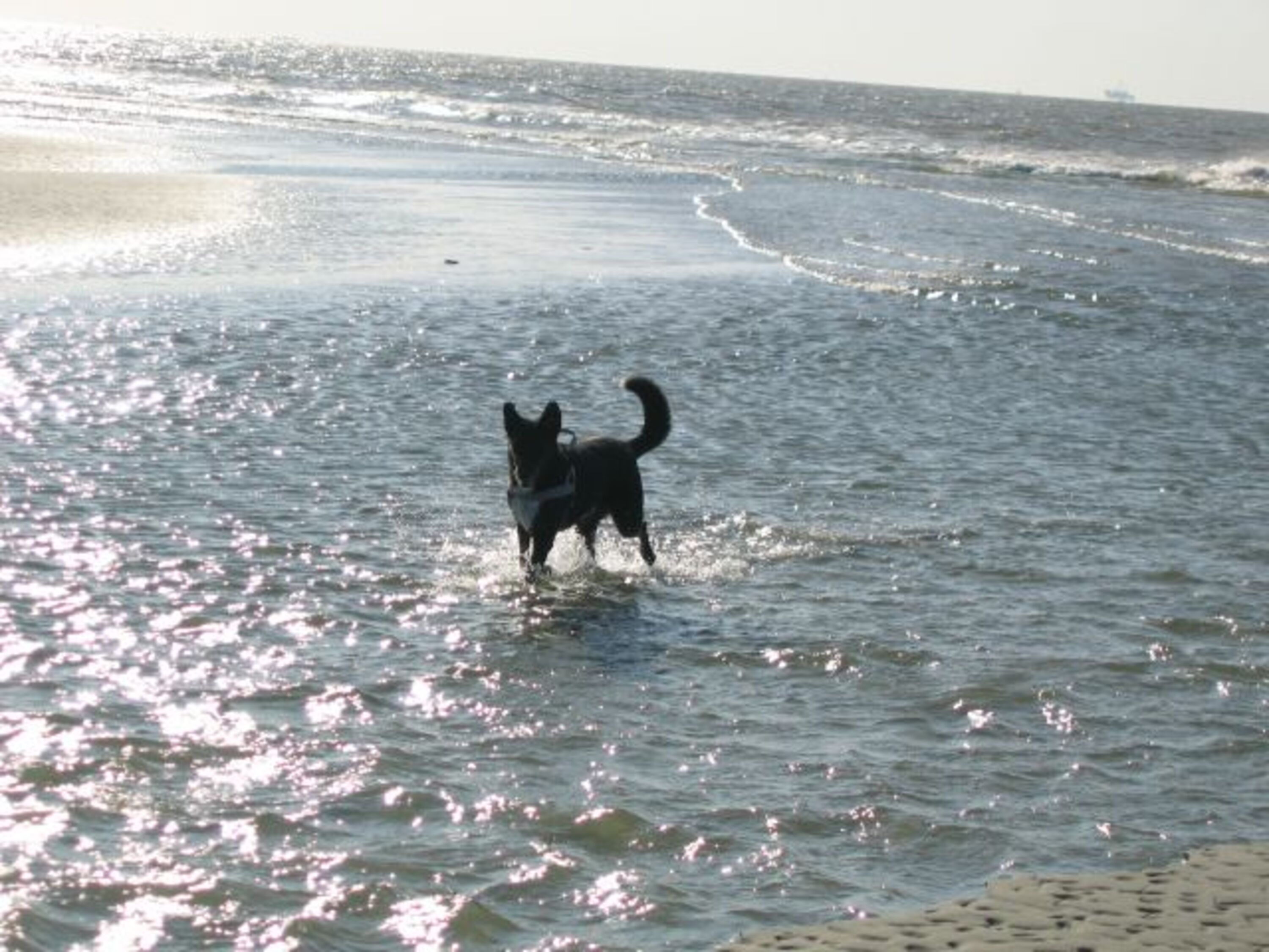 Bild 25