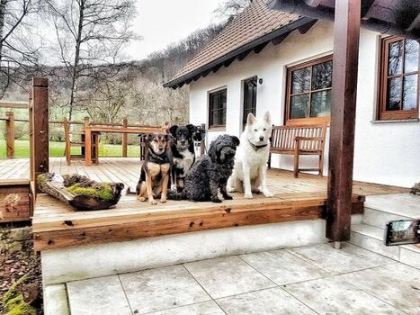 Hunderudel herzlich willkommen!