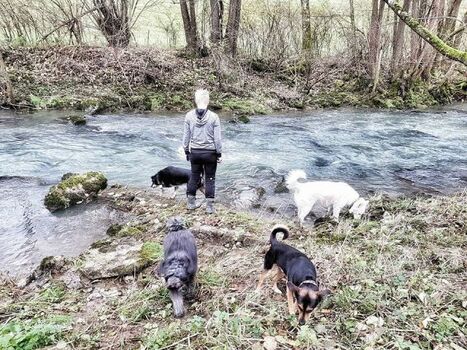 Hier baden nur Ihre Hunde entlang des Privatweges