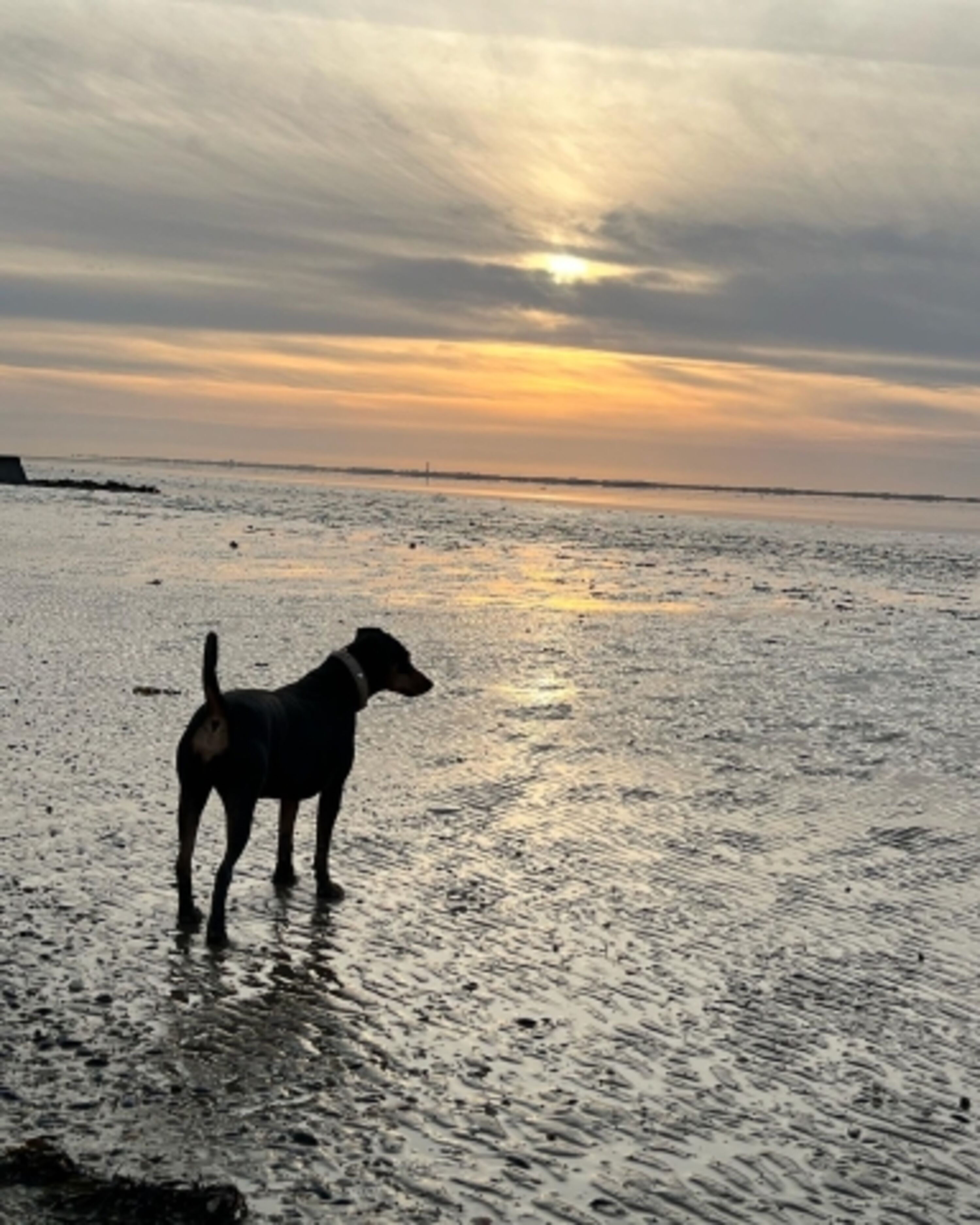Sonnenuntergang 