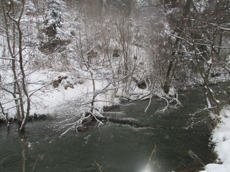 Idylle pur beim Winterspaziergang am Haus