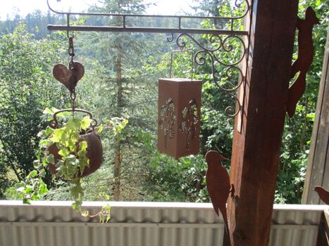 Mitten im Naturpark Rothaargebirge ( Vogelschutzgebiet )