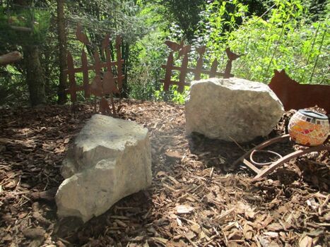 Blick in den Naturgarten vor der Terrasse