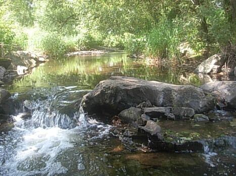 Nur ca. 50 m vom Haus entfernt angrenzend an der grossen Wiese 