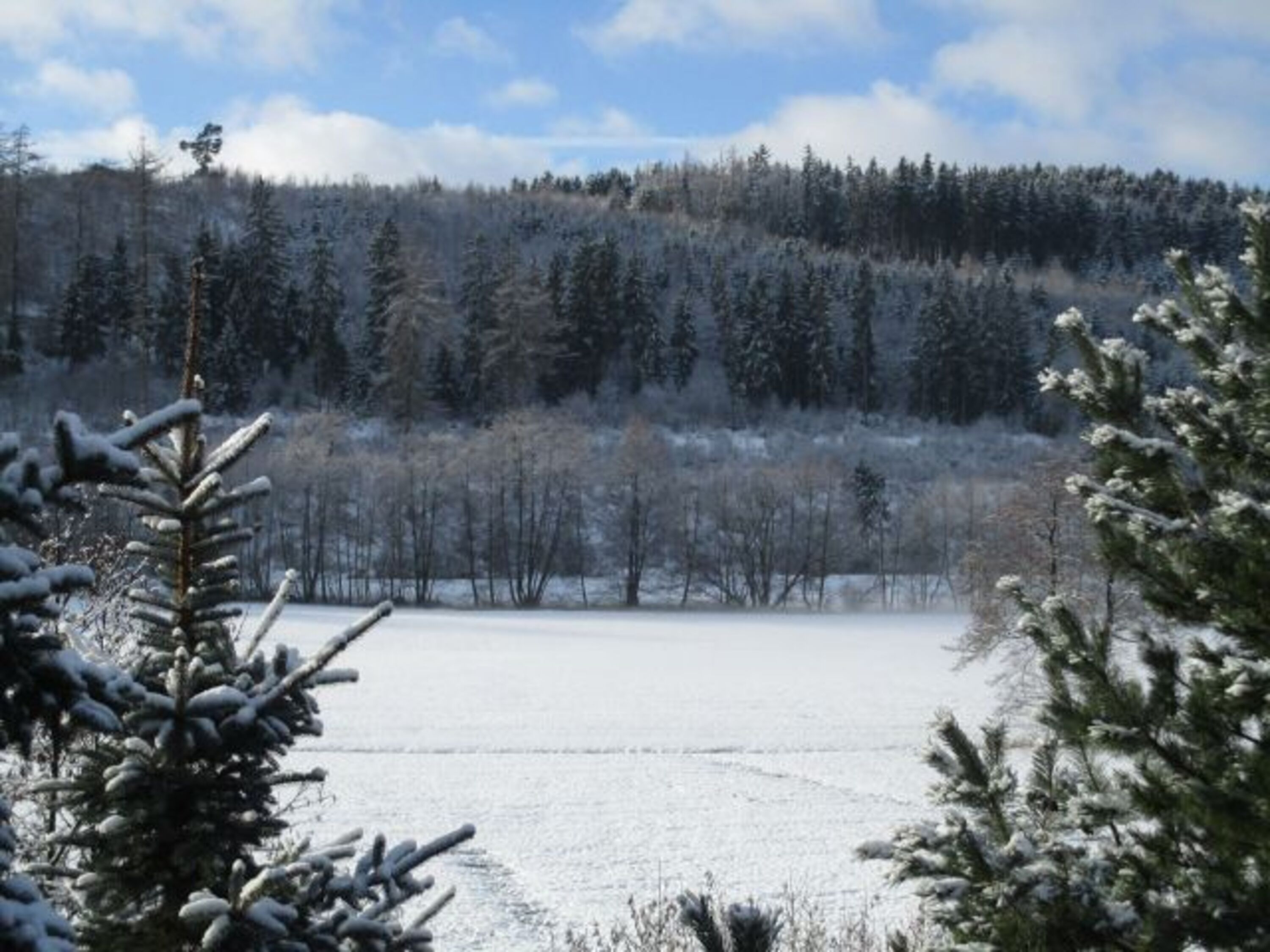 Blick von der Terrasse ( Originalfoto ) 