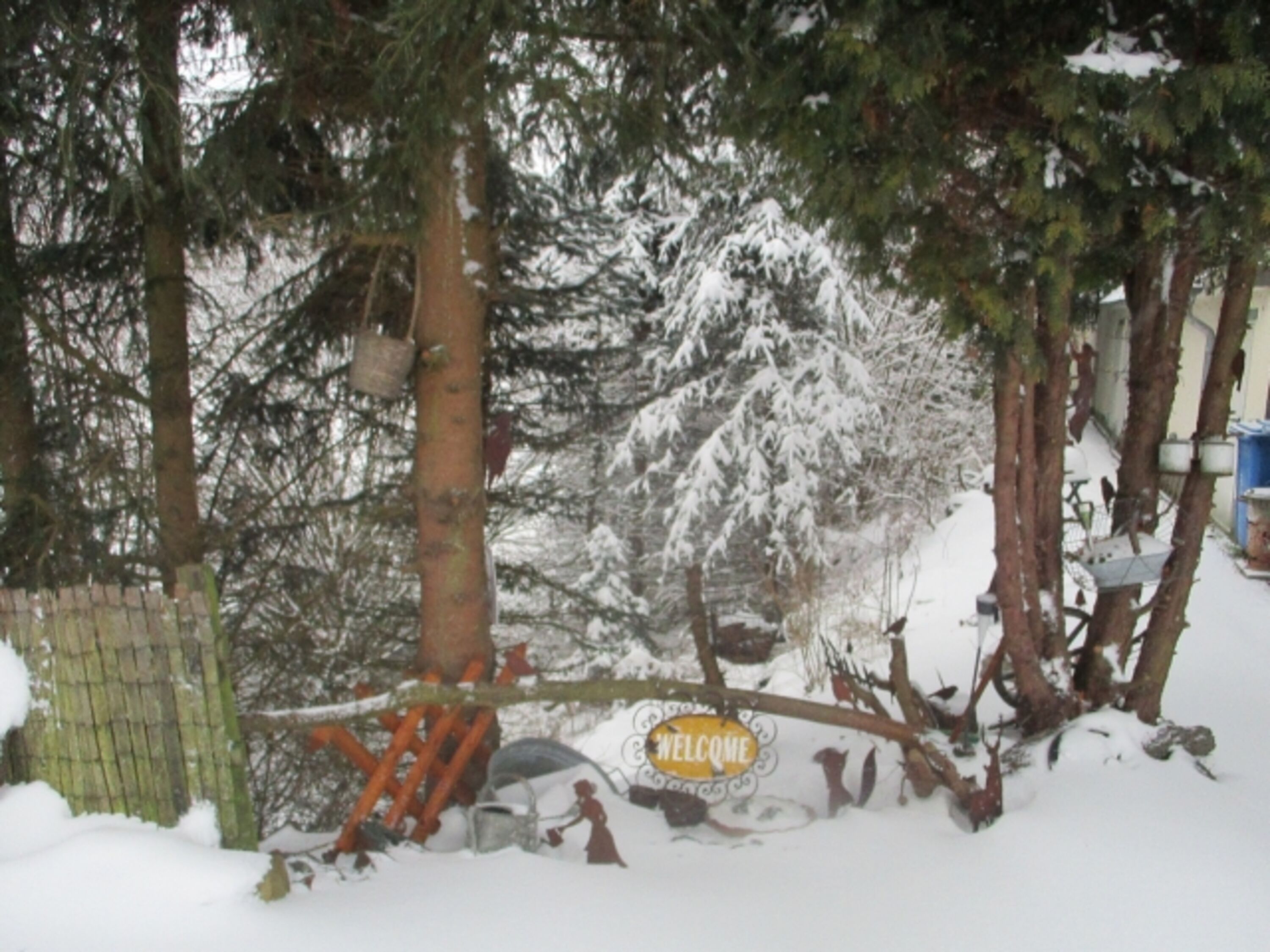 Geniessen Sie die Natur im verschneiten Sauerland