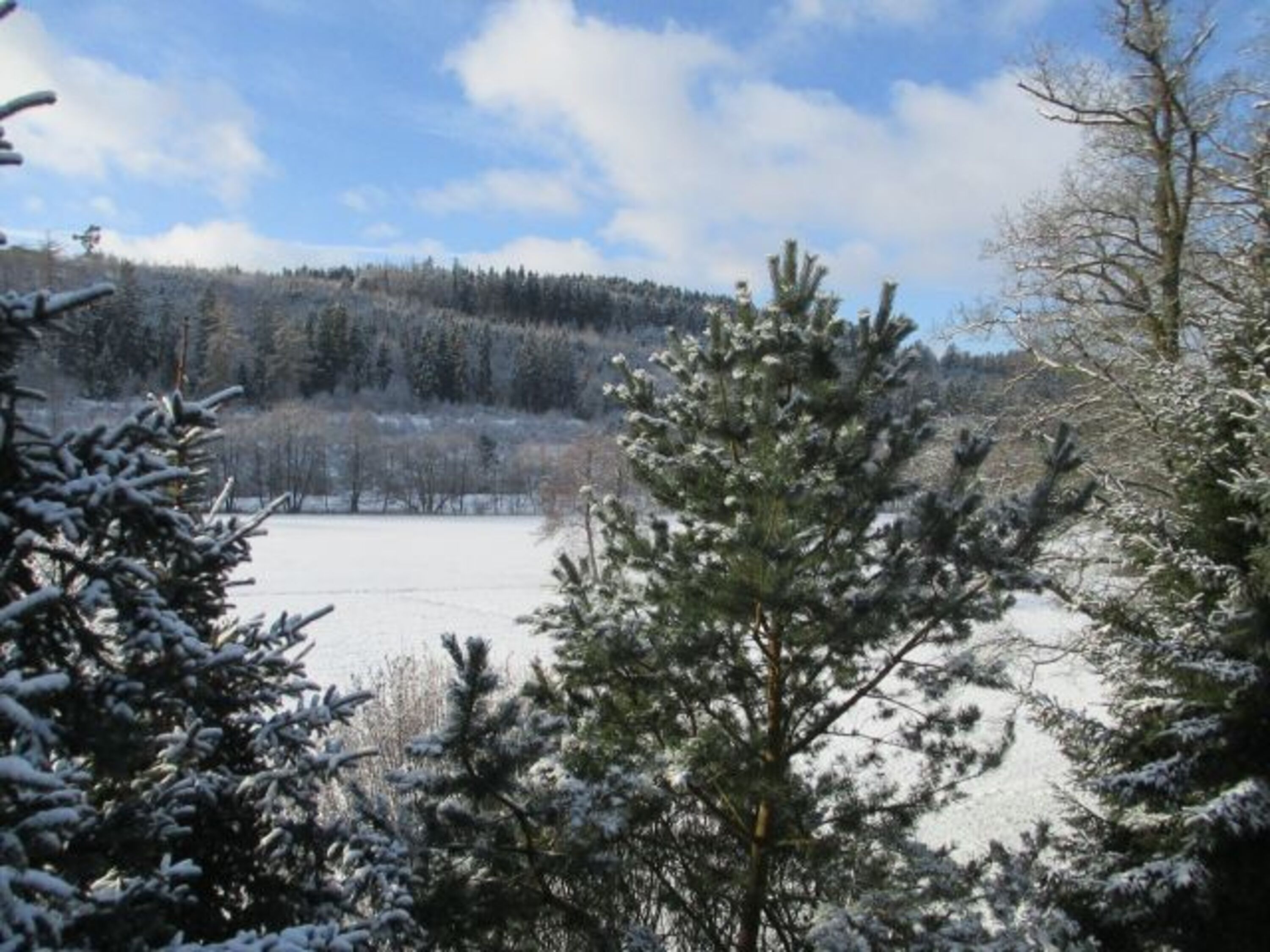 WINTER-WONDERLAND :-) im Naturschutzgebiet