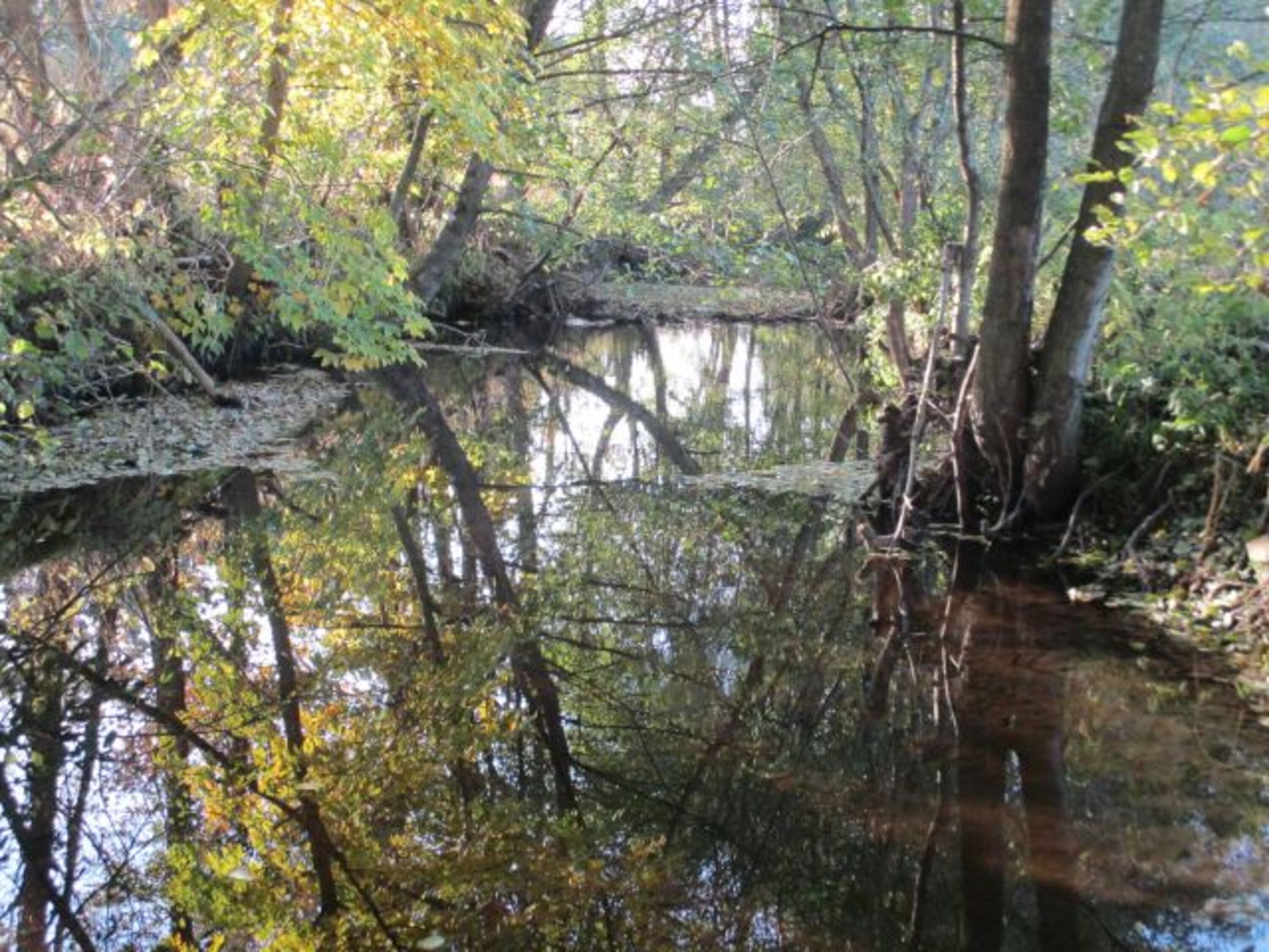 Mit der Möglichkeit ins Wasser zu gehen für Hund und Frauchen/ Herrchen/ Kinder :-)