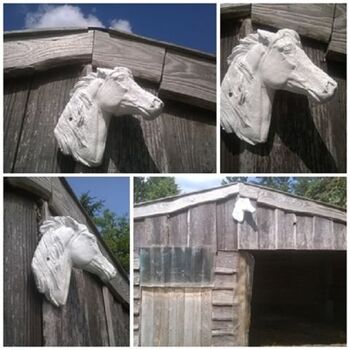 Uriges Ferienhäuschen im Moor - Impressionen