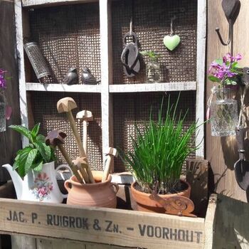 Uriges Ferienhäuschen im Moor - Impressionen