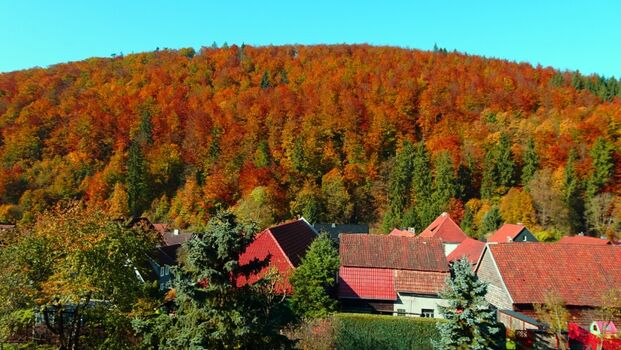 unser Hausberg im Herbst