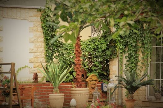 Casa Chabeli - Impressionen Garten