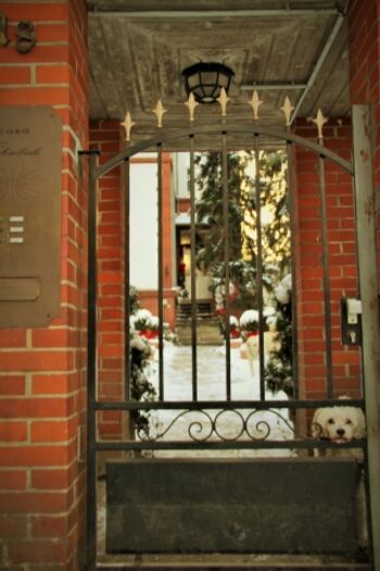 Herzlich Willkommen im Casa Chabeli - Berlin