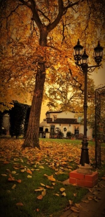 Kutscherhaus Casa Chabeli - Herbst Impressionen