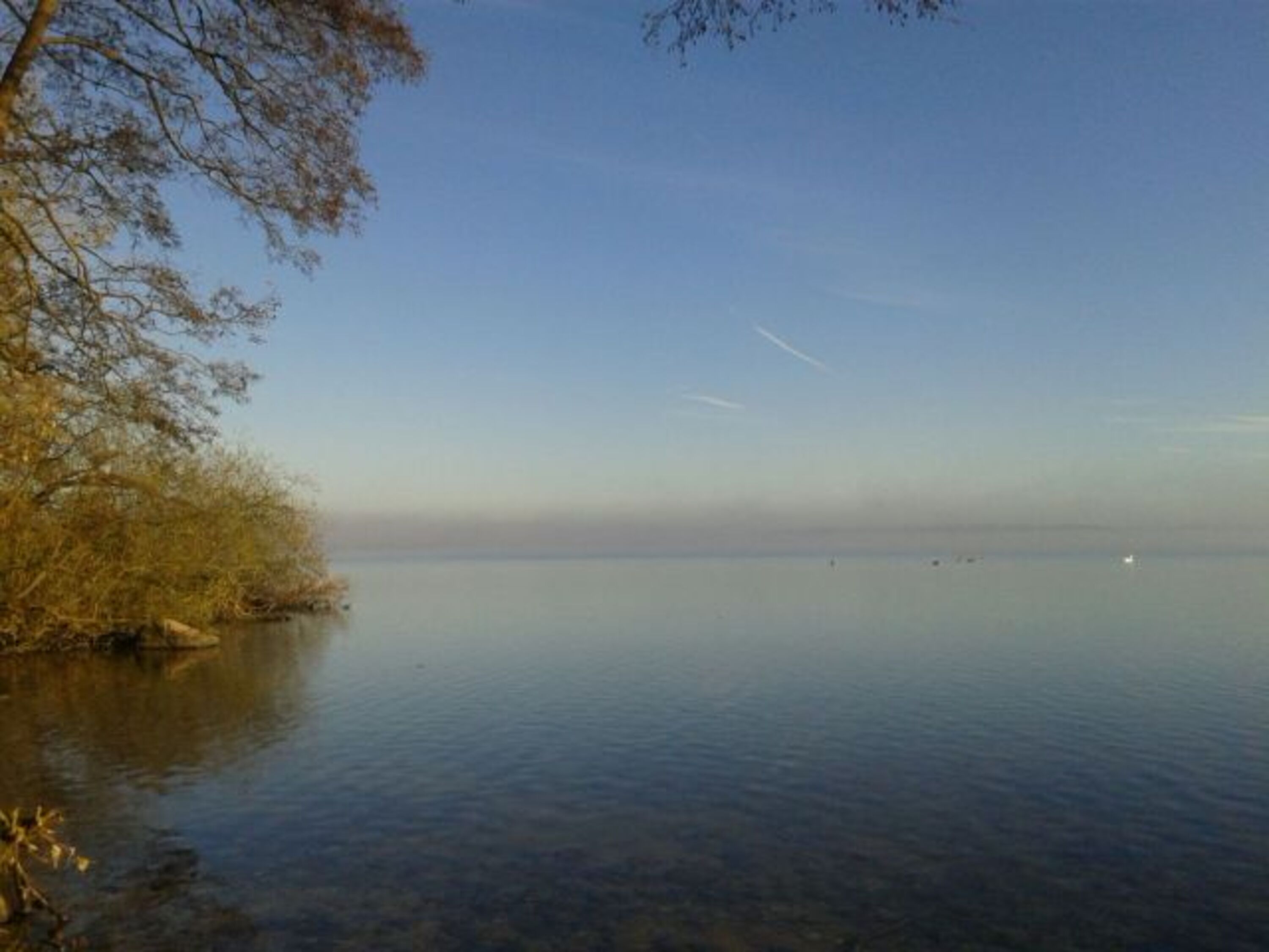 Der Wittensee