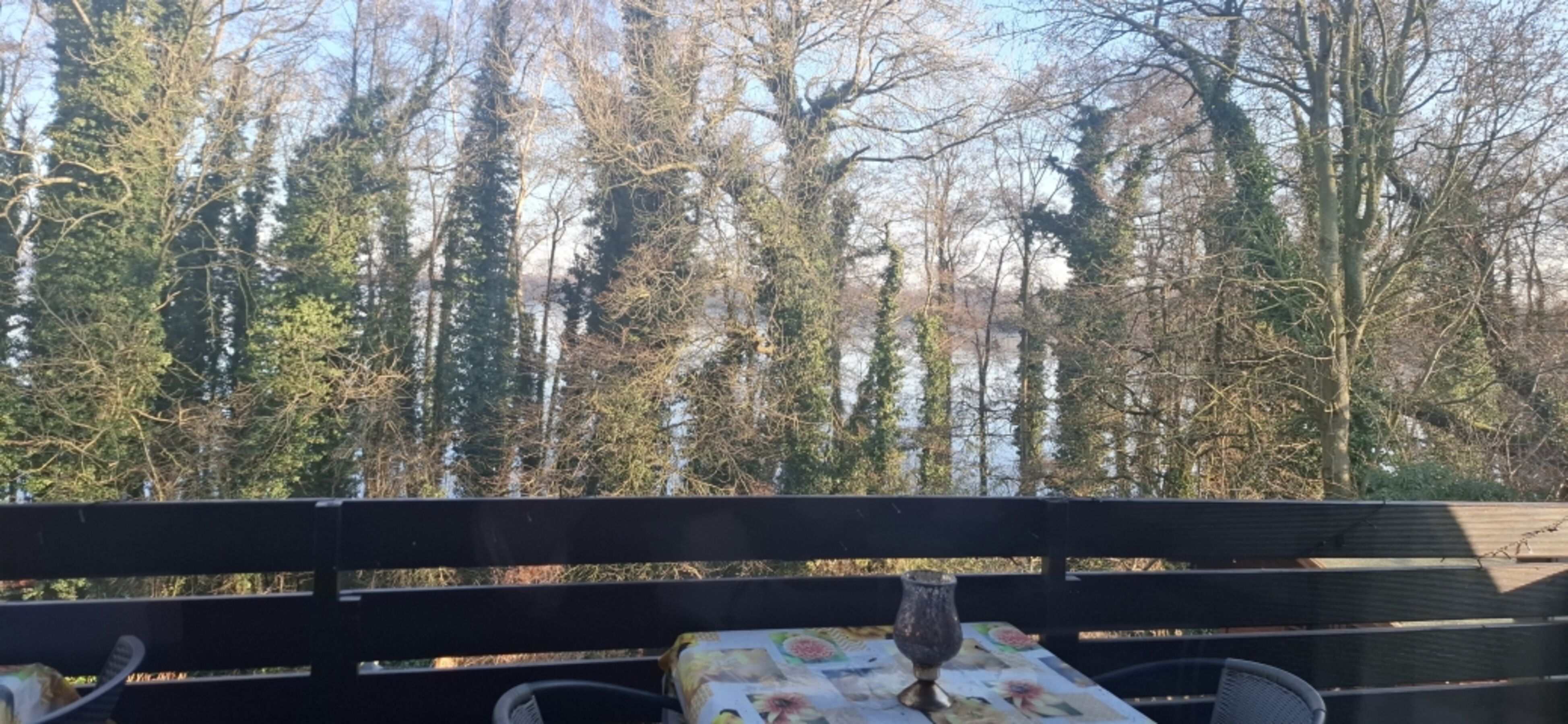 Seeblick im Winter