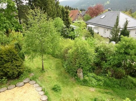 Ein Blick in den Garten