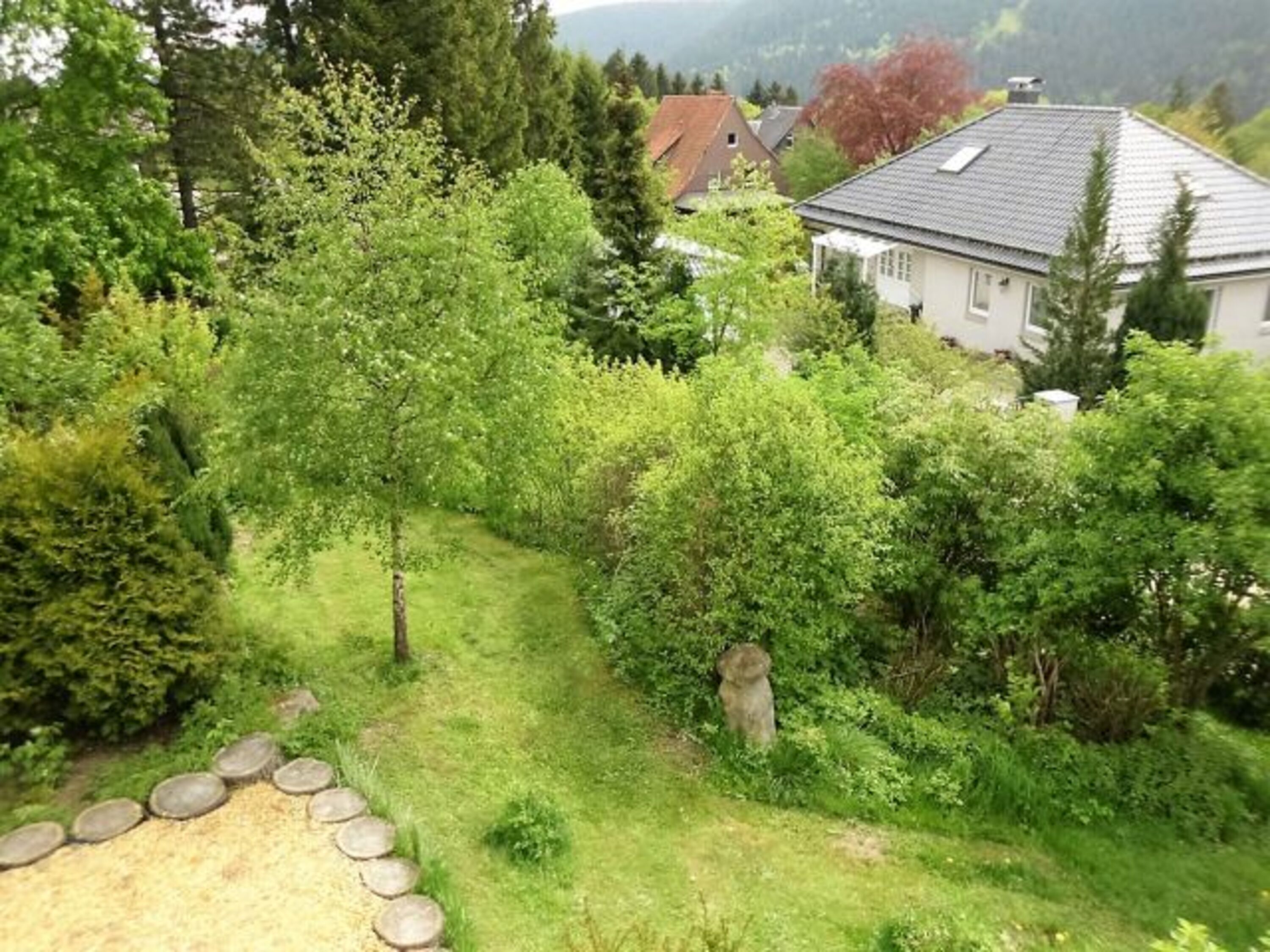 Ein Blick in den Garten