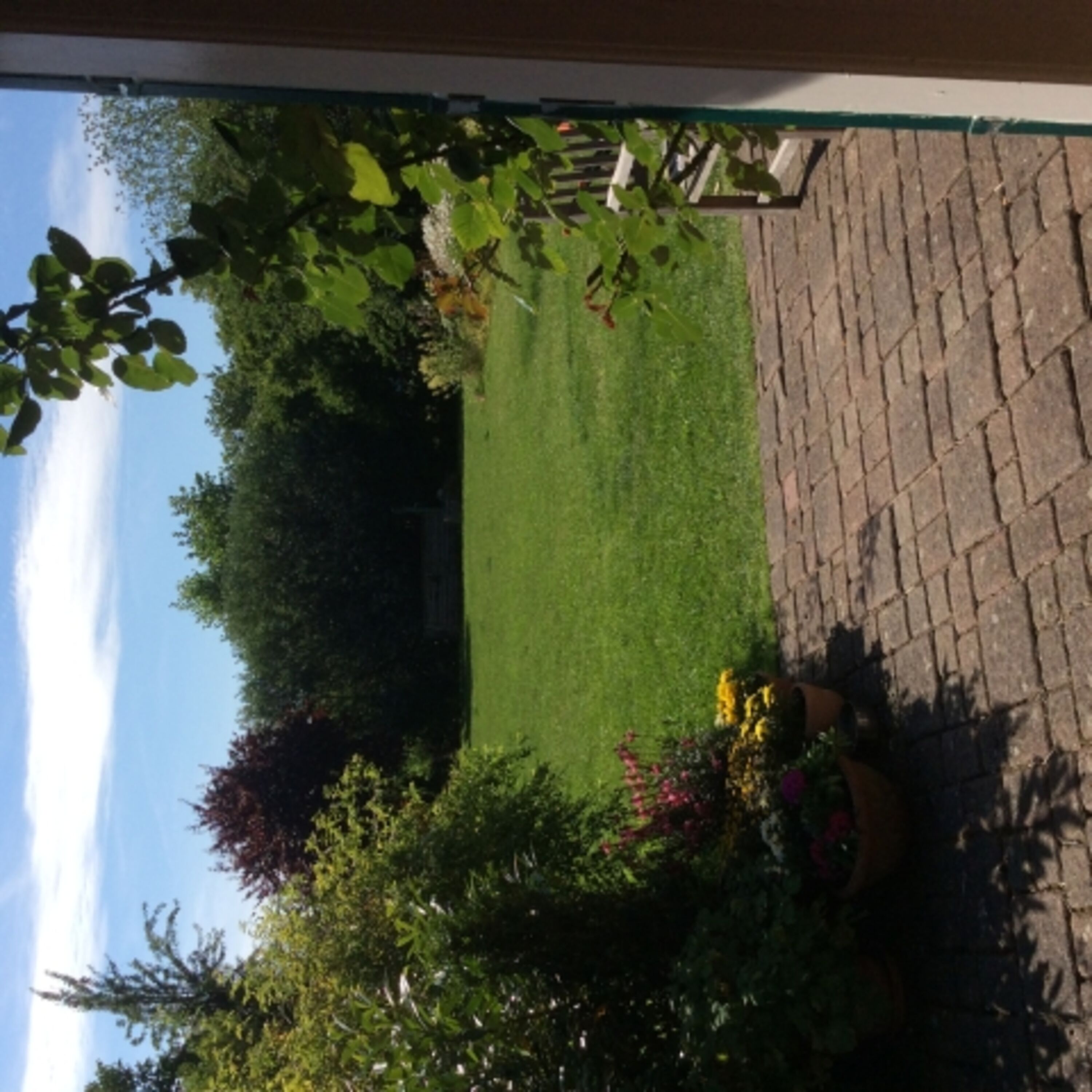 Bild 11