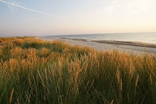 Kilometerlanger Nordseestrand in Laufentfernung