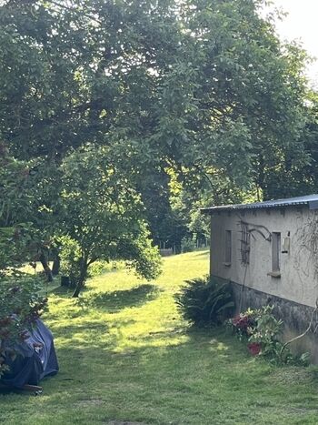 Blick in den Obstgarten im Mai